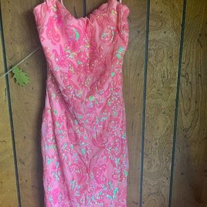 Windsor Brynlee Dress Size Large